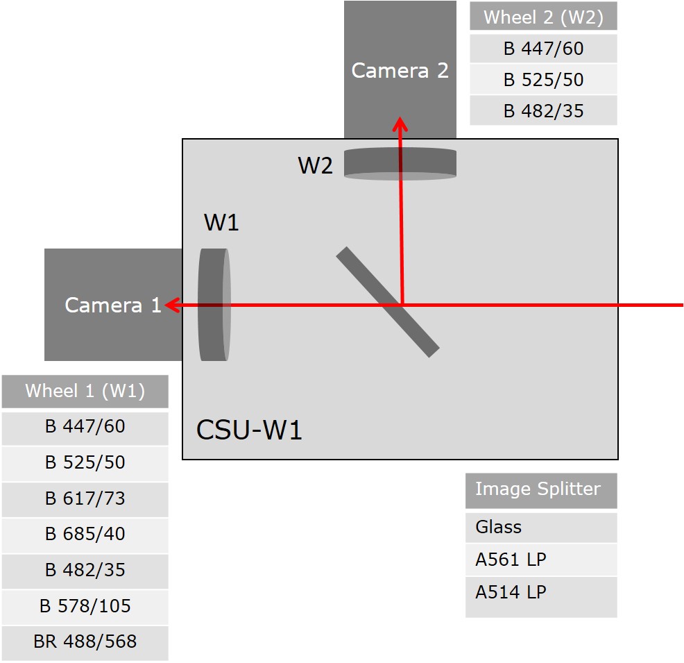 CSU-W1