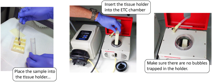 Insert Sample